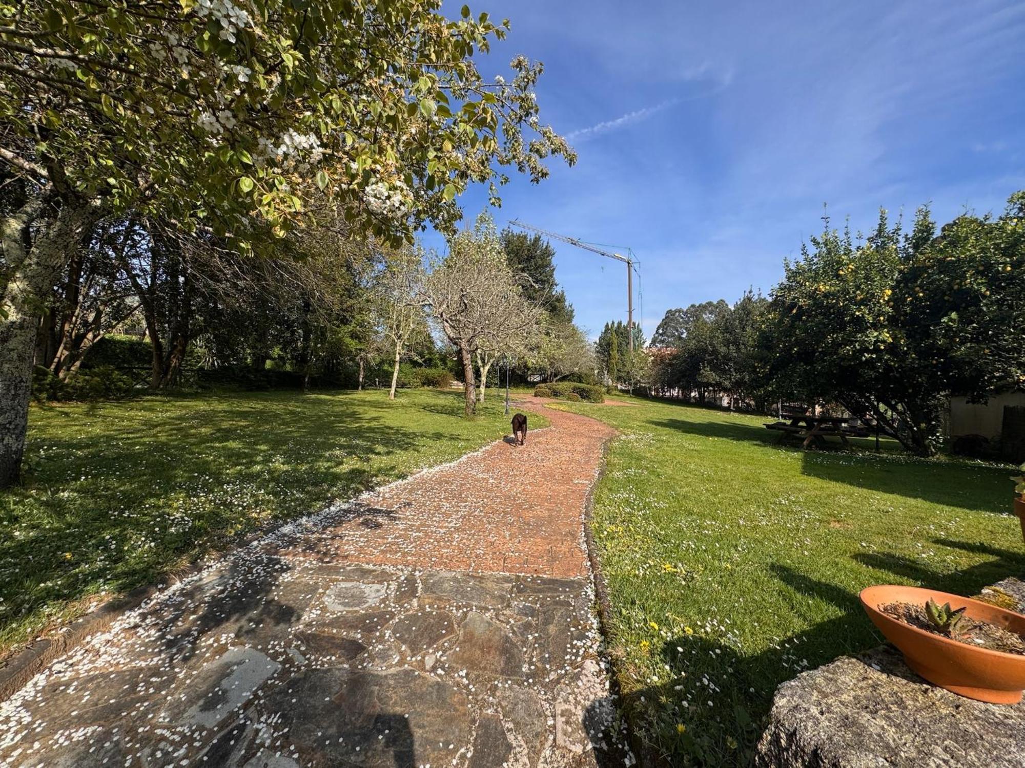 Casa Rural A Cobacha Paderne 외부 사진